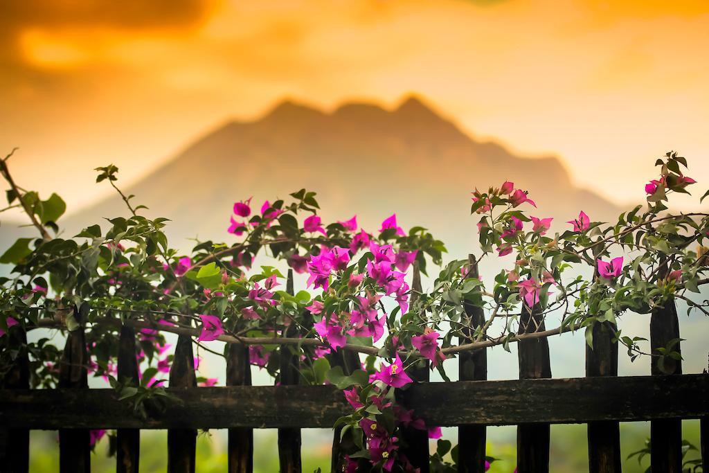Casa Madre Tierra Hotel LàngLàngVilcabamba Ngoại thất bức ảnh