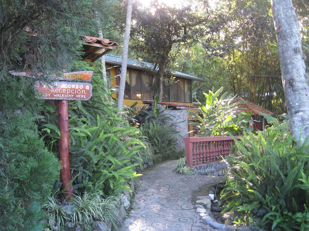 Casa Madre Tierra Hotel LàngLàngVilcabamba Ngoại thất bức ảnh